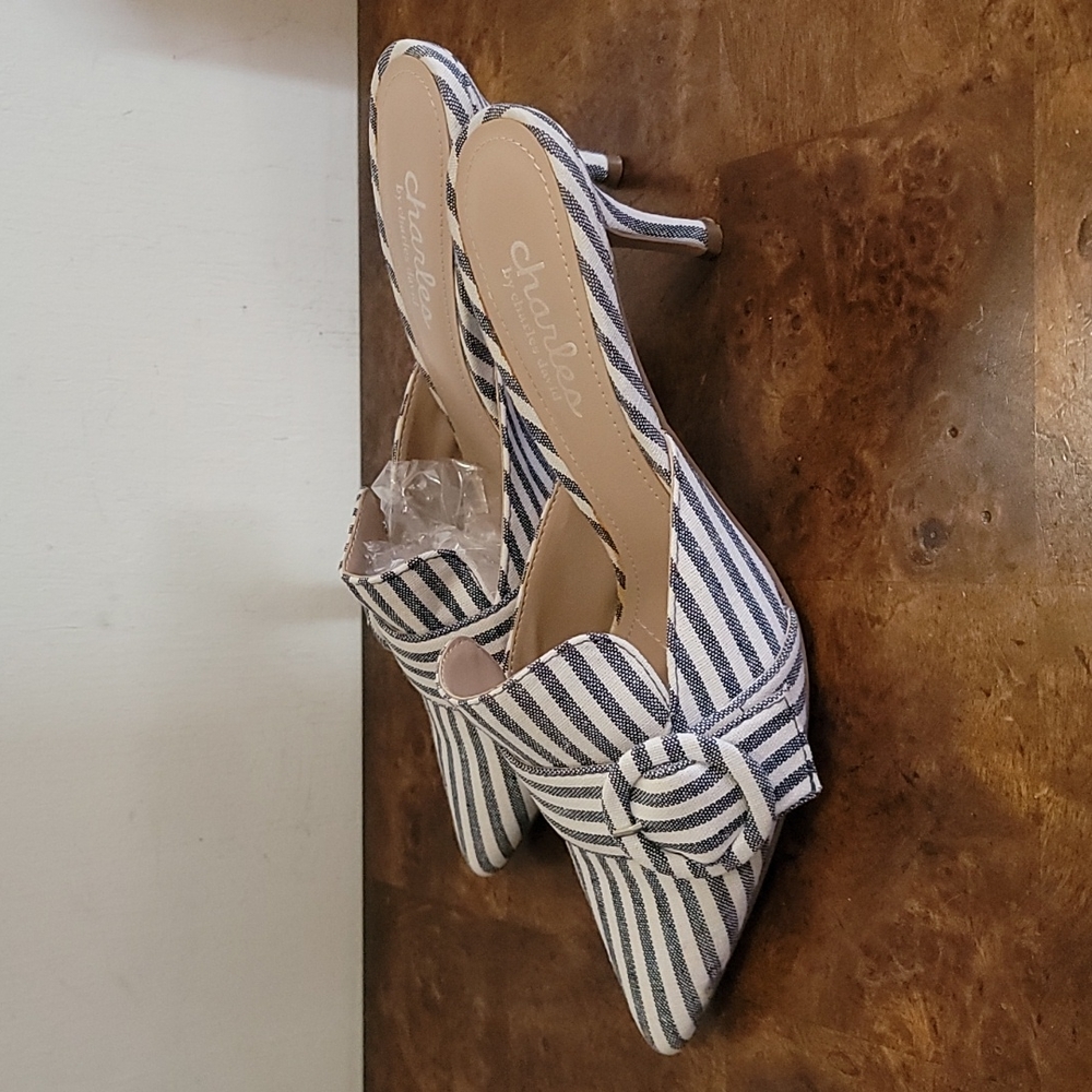 Charles David B&W Slides - image 4